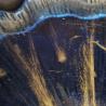 Thumbnail for Uniek epoxy schaaltje ‘Ginkgo’ blauw + 2 amberblokjes